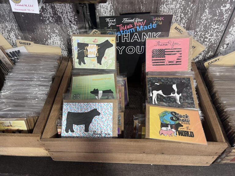 455223178 1160543461802077 2765462904292389376 n 768x576