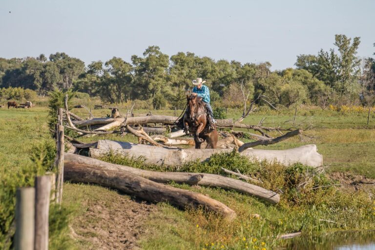 458278972 923744459788613 4642417474363727075 n 768x512