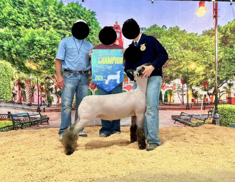 458972244 933599478797704 7137926794033264812 n 768x597