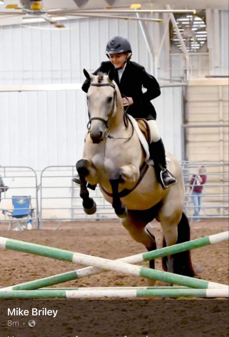 461252542 937158315119838 3607089842236683004 n 768x1132