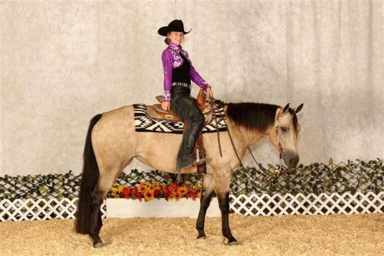 461279362 937158298453173 5370257278102519254 n 768x512