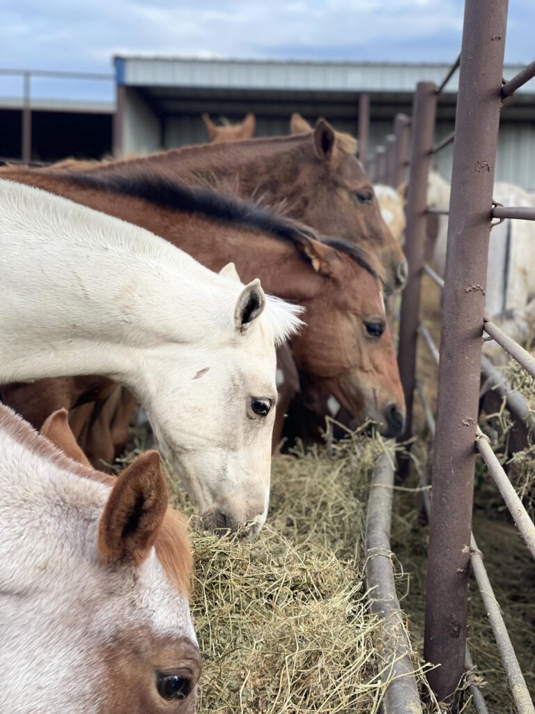 461889432 945584744271251 3119624236017273690 n 768x1024