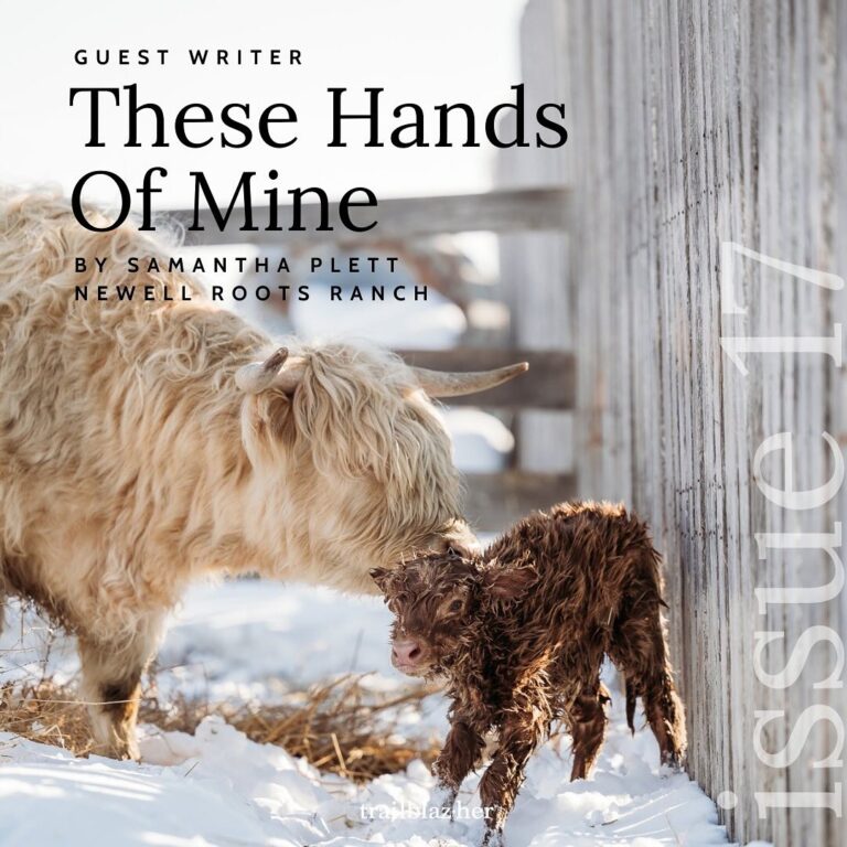 469163312 18030191609386052 8824487826602778704 n 768x768