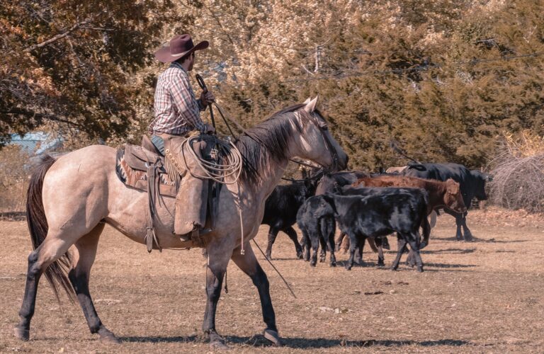 470142652 1137888488347704 3483384460593804267 n 768x500