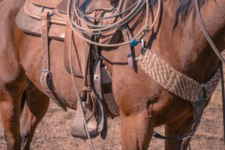 470192719 1137888638347689 878760178236021254 n 768x512