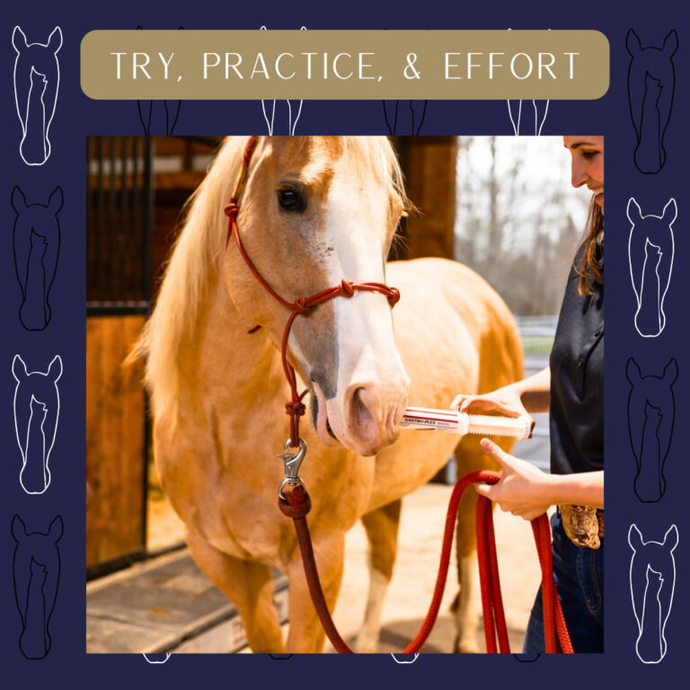 470681083 1126884845889218 5387006631240270042 n 768x768