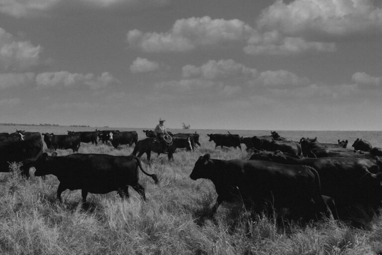 471313119 10226843028648673 7323166270456108565 n 768x512