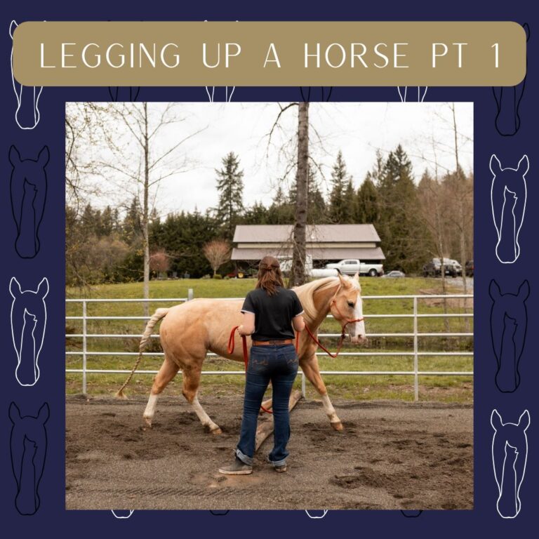 471388185 1130182275559475 2057113558414616590 n 768x768