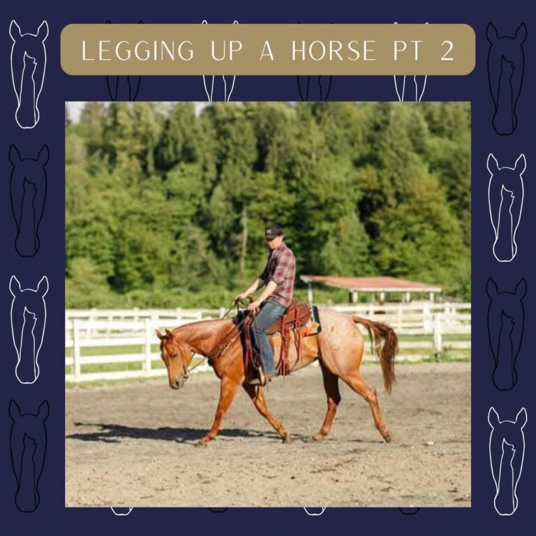 471584475 1130226448888391 5744164105027608420 n 768x768