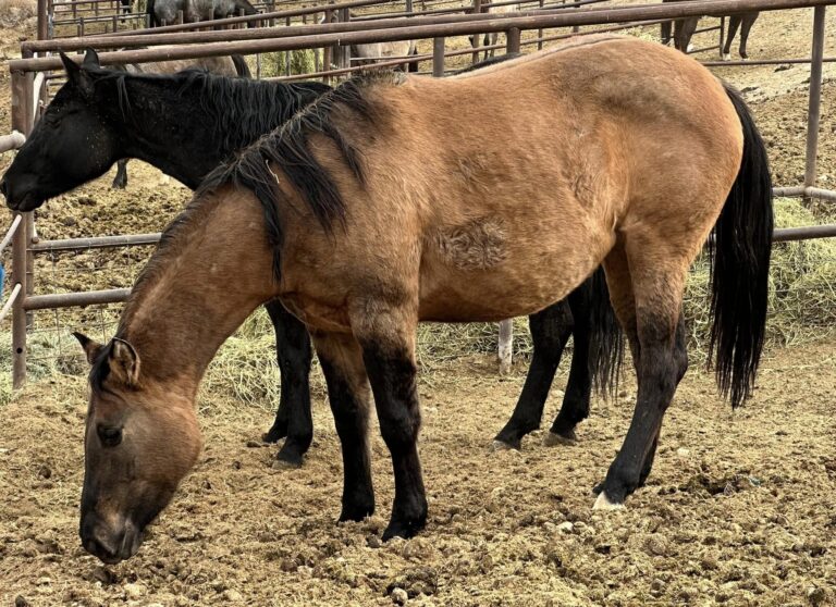 472210458 1143896074408646 1477551301572284566 n 768x558