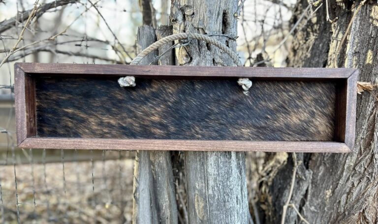 472211195 122125077104592741 977057177294448973 n 768x456