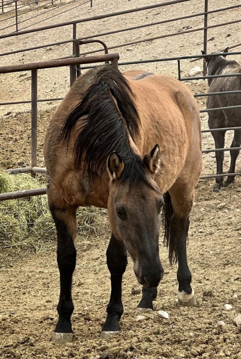 472399641 1143896087741978 5840217963849730225 n 768x1146