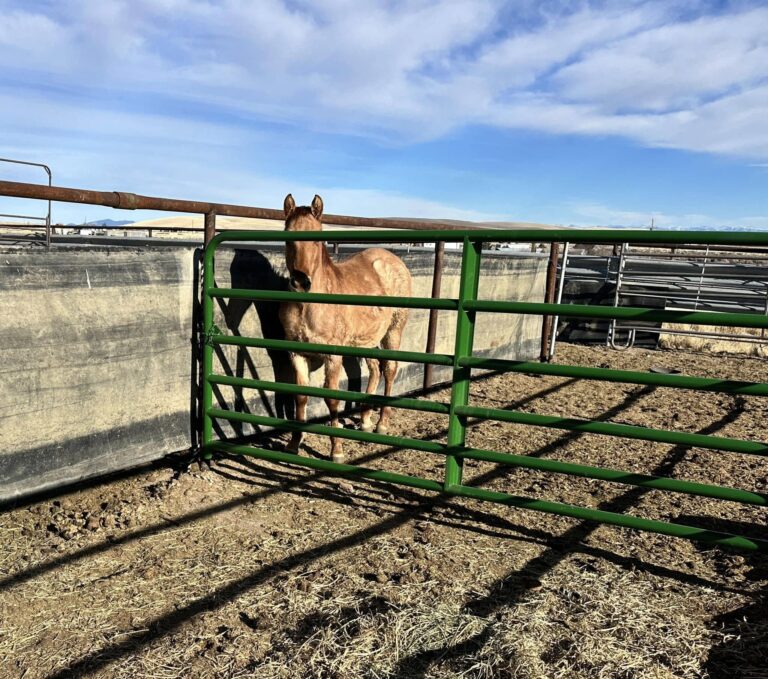 472545665 1143470287784558 8807076180705646049 n 768x679