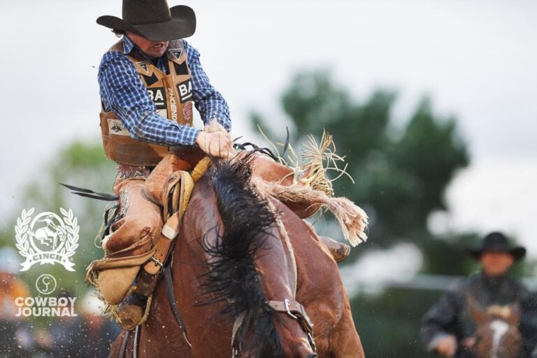 79103673 2481602292168152 8511757739012128768 n 768x512