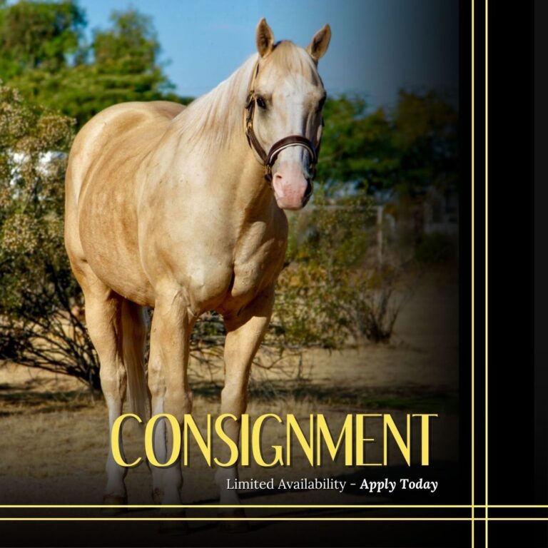 Consignment