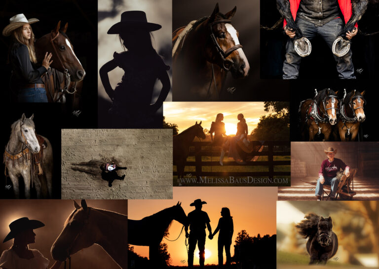 MelissaBausDesignDrama CowgirlBizPhotos copy 768x546