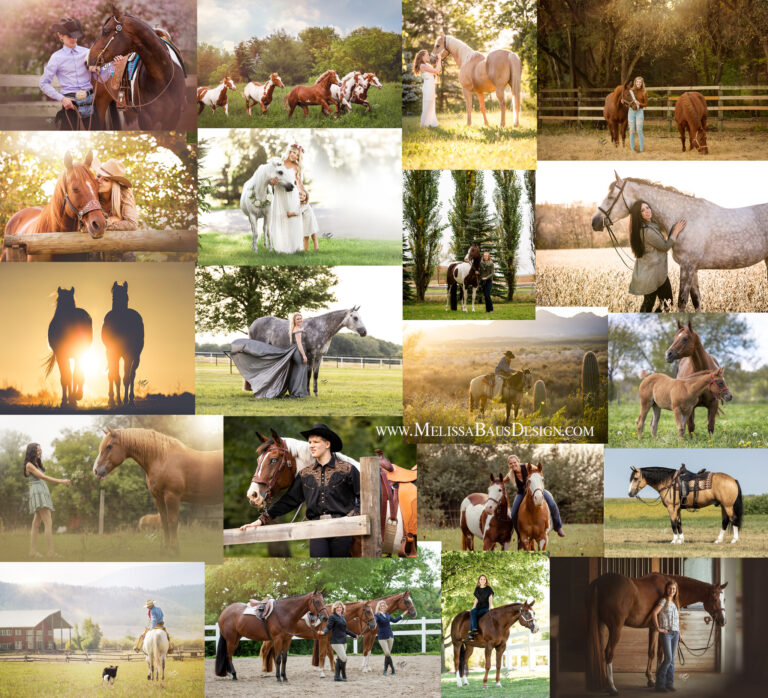 MelissaBausDesignFineARt CowgirlBizPhotos copy 768x698
