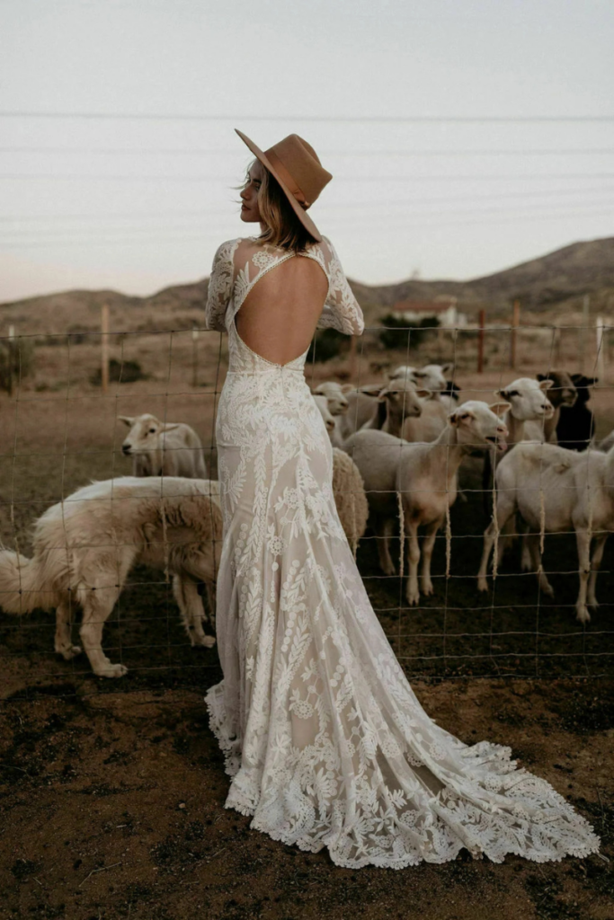Willow Lace Wedding Dress by Dreamers & Lovers
