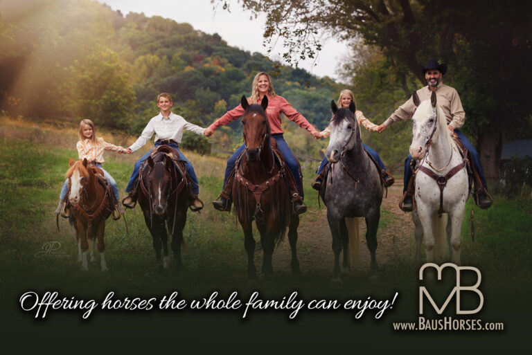 BausHorsesHalfDraftPromo 768x513