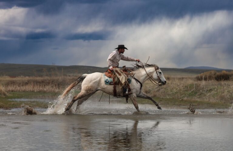 Screenshot 66 768x497