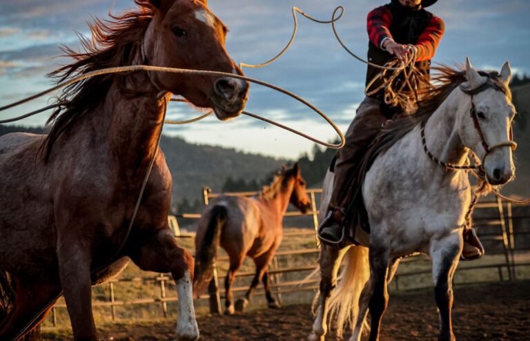 Screenshot 77 768x494