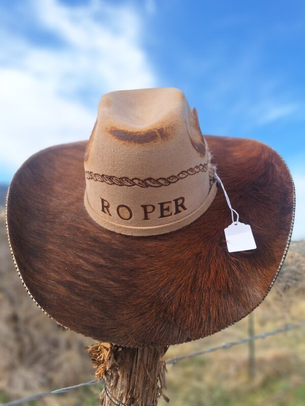 Gone Country Big Sky - Chestnut - Image 4