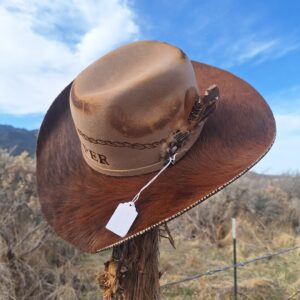 Gone Country Big Sky - Chestnut