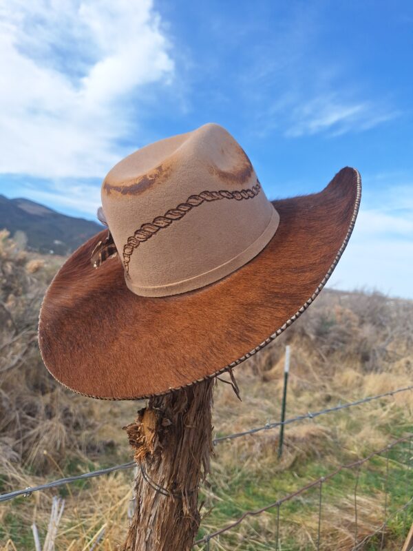Gone Country Big Sky - Chestnut - Image 3