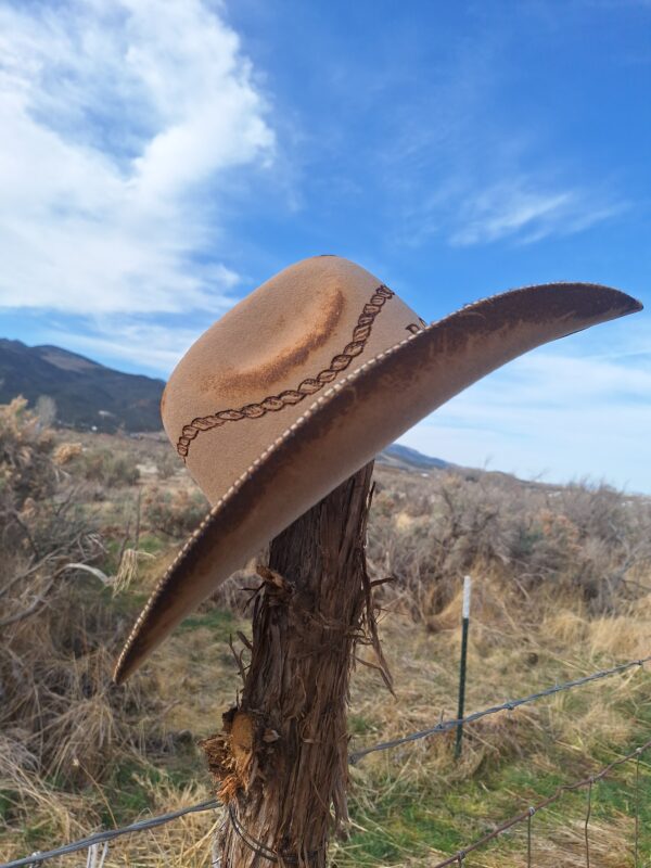 Gone Country Big Sky - Chestnut - Image 2