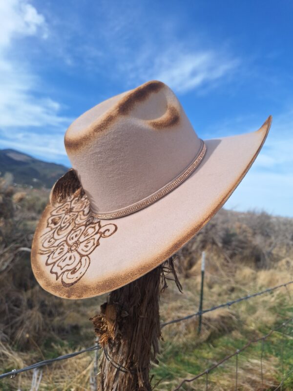 Gone Country Big Sky - SilverBelly