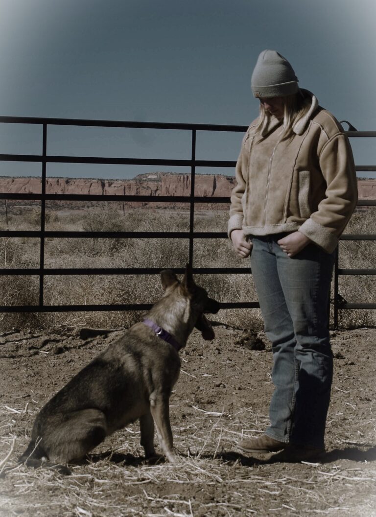 474741841 1024957299691953 3994839703107674131 n 768x1056