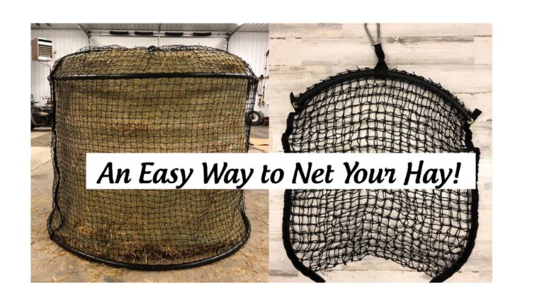 474969787 641307215018717 6381498174273951651 n 768x433