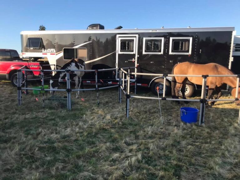 476208033 625813849920915 35090029283705854 n 768x576