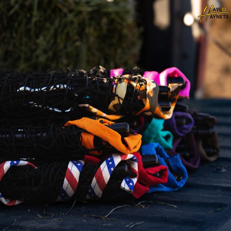 481009170 670814755476126 1071429935220488335 n 768x768