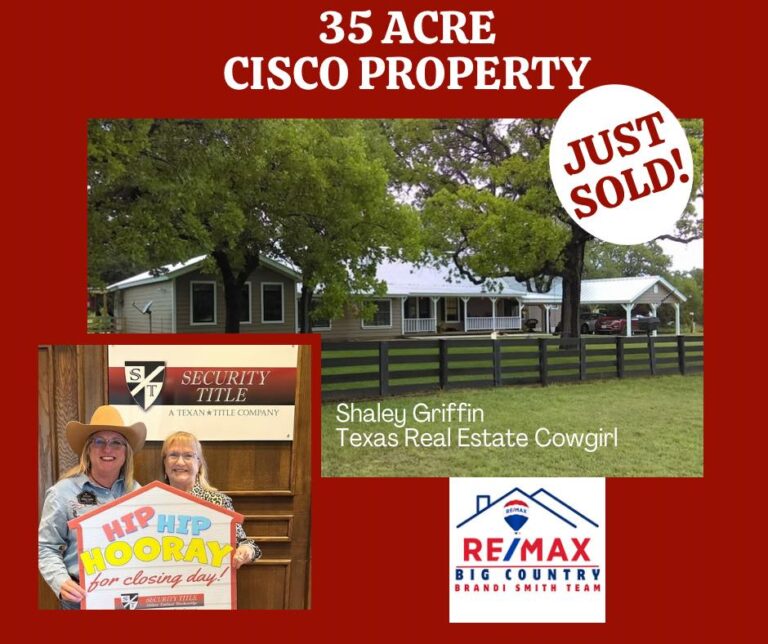 481771407 10233460146998101 4733656869334245353 n 768x644