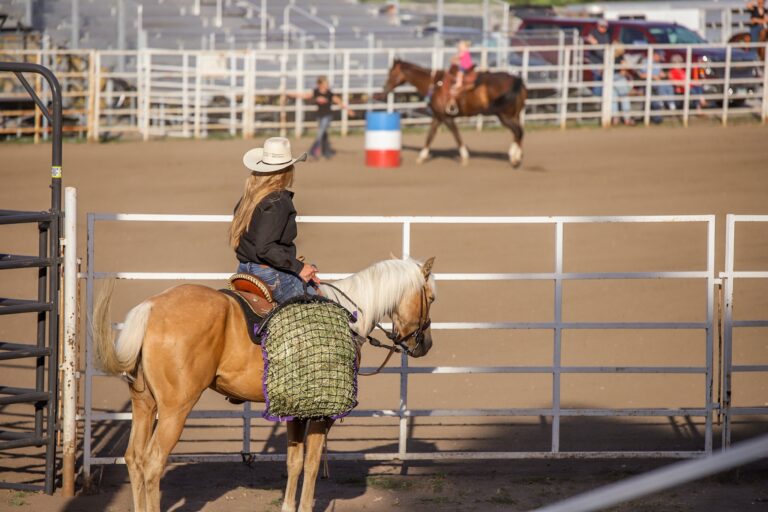 482023847 662450052904433 6801335987521981592 n 768x512