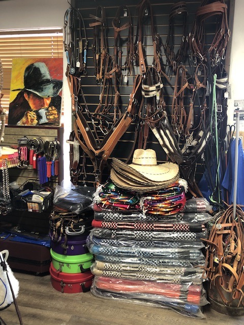 482058406 1123233266267332 1639380244436237893 n