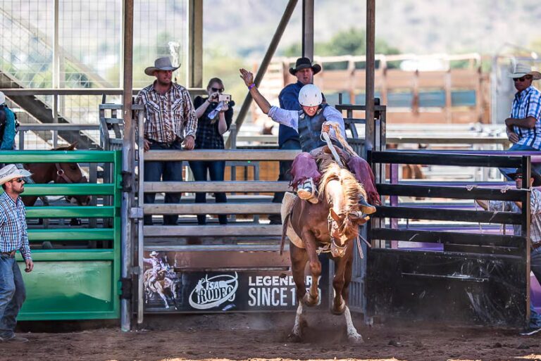 82d352f5698acc320676352b4d17aba2 768x513