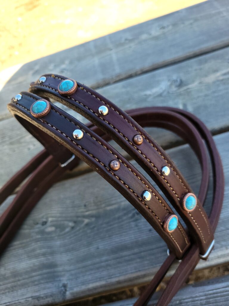 Premium Tack and Training Equipment