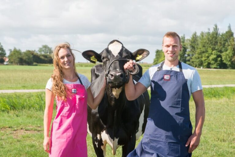 234 800x534 1 768x513