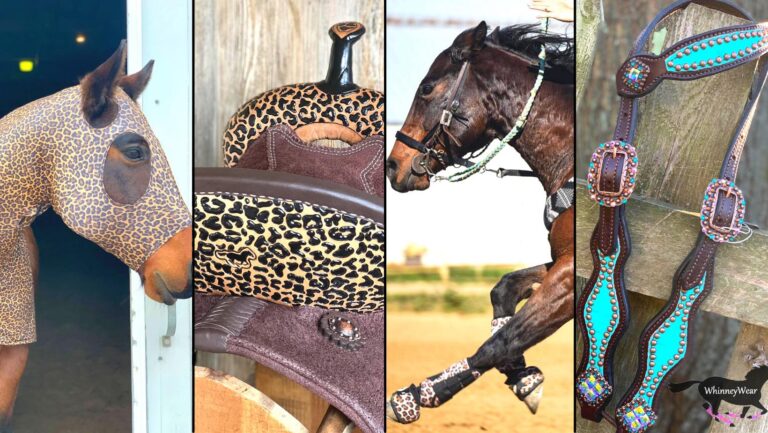 271633635 10158871532849141 6475653236365781467 n 768x433