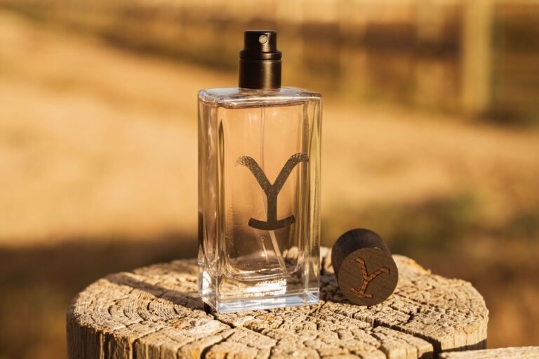 490873154 1086641723484789 6766206139682659302 n 768x512