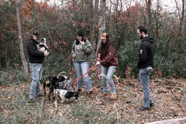 491441991 17961519674914325 4548739600938950466 n 768x513