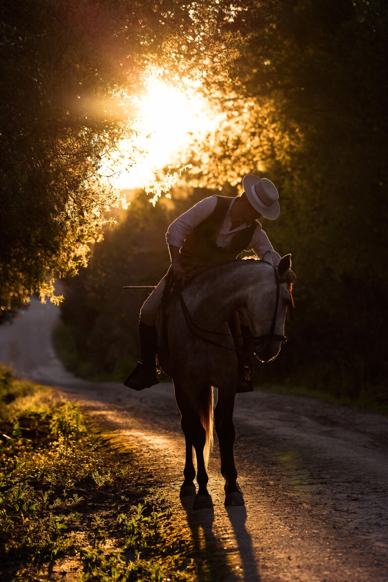 492022626 1214859213531668 6341700684806362339 n 768x1151