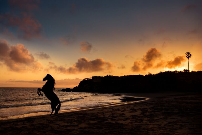 492792558 1212607363756853 1374848105734583823 n 768x512