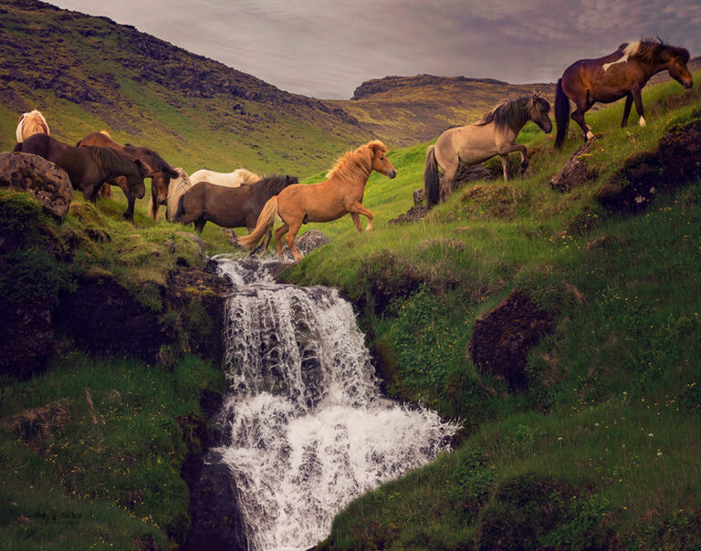 492948297 1184317189761912 2633859537385565215 n 768x604