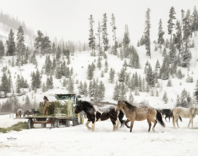 493192749 1184317033095261 5985083743770788681 n 768x604