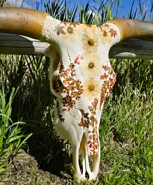 Autumn_Sunrise_texas_longhorn_skull_sawtooth_skulls_4