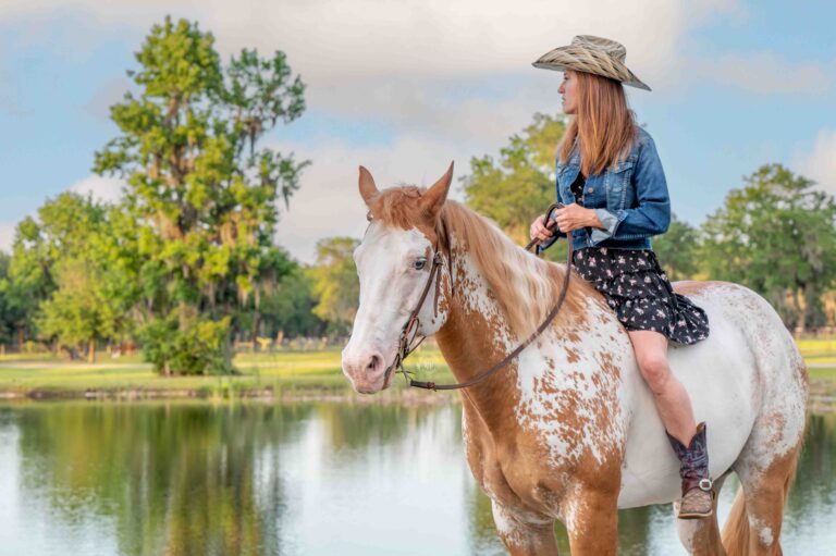 DSC 0585 Enhanced NR Edit 768x511