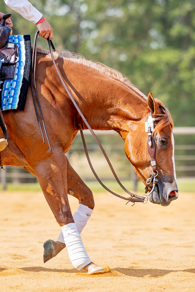 POLS5483 Edit 683x1024 1